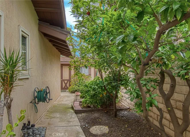 1212 Castlegate side yard with shed