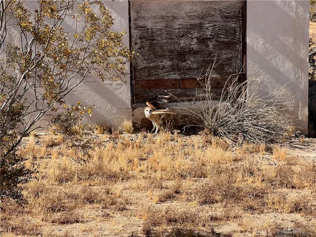 0 Manzanita Drive, Johnson Valley, California 92285