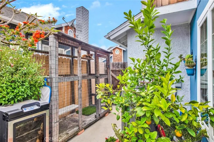 Custom "Catio" with access to garage/ home for your furry loved one (cat or small dog!). Catio can be removed by seller, if requested.