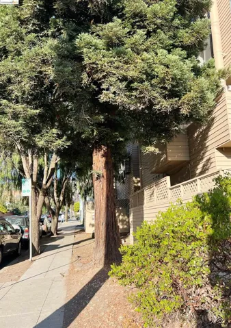 2501 Dana St 5, Berkeley, California 94704