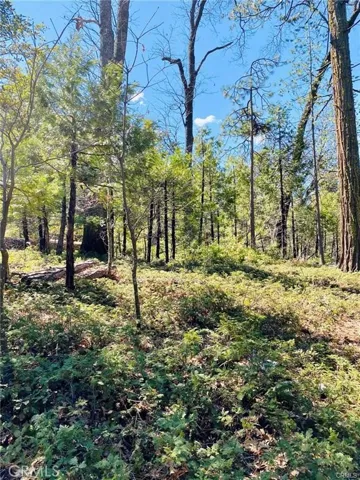 7105 Snyder Ridge Road, Mariposa, California 95338