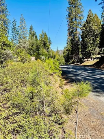 7105 Snyder Ridge Road, Mariposa, California 95338