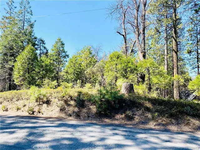 7105 Snyder Ridge Road, Mariposa, California 95338