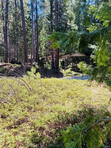 7105 Snyder Ridge Road, Mariposa, California 95338