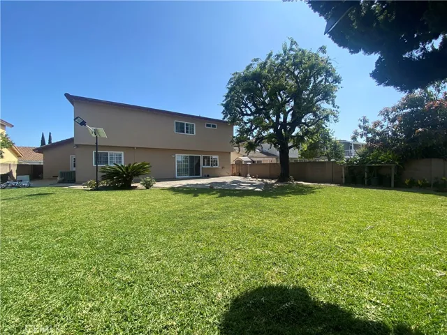 Backyard View