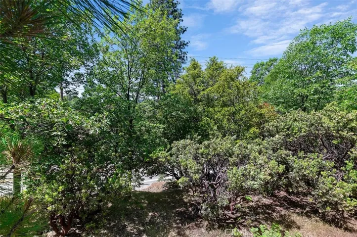 1075 Grass Valley Road, Lake Arrowhead, California 92352