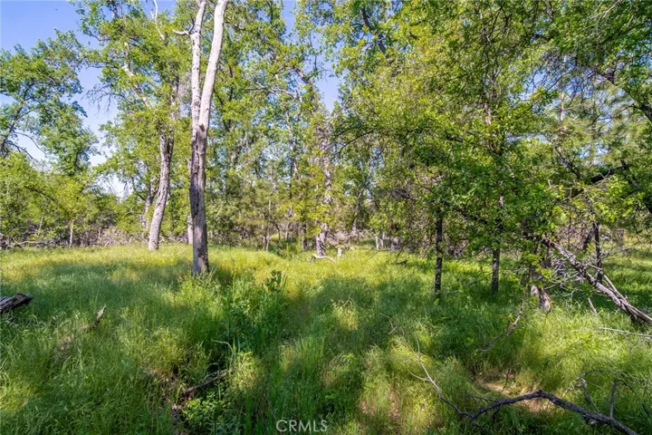 3122 Triangle Park Road, Mariposa, California 95338