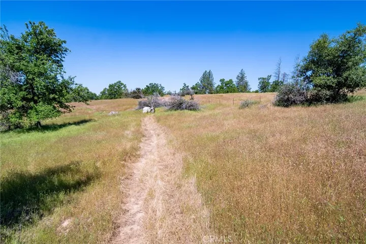 3122 Triangle Park Road, Mariposa, California 95338