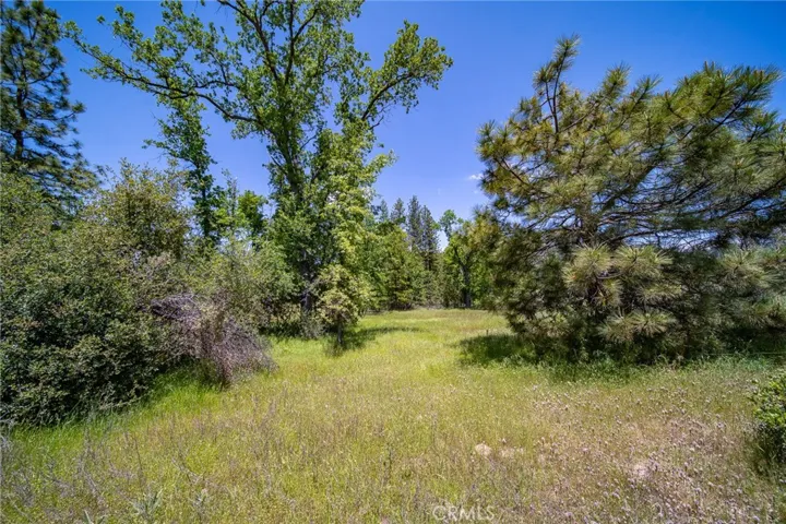 3122 Triangle Park Road, Mariposa, California 95338