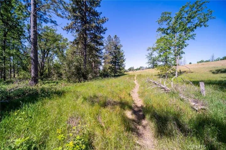 3122 Triangle Park Road, Mariposa, California 95338