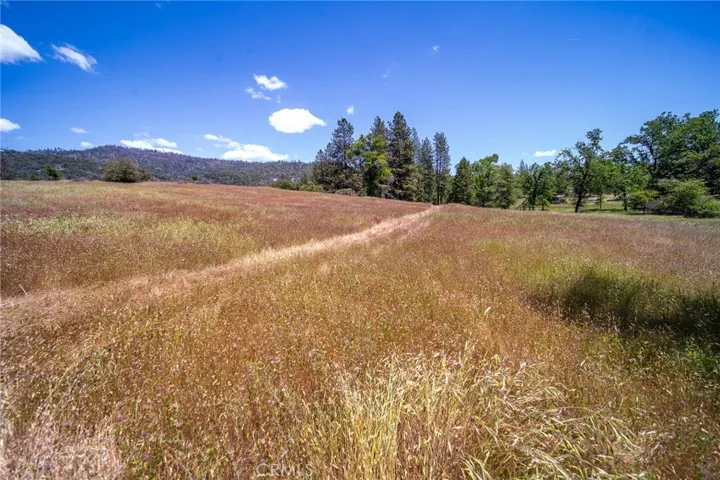 3122 Triangle Park Road, Mariposa, California 95338