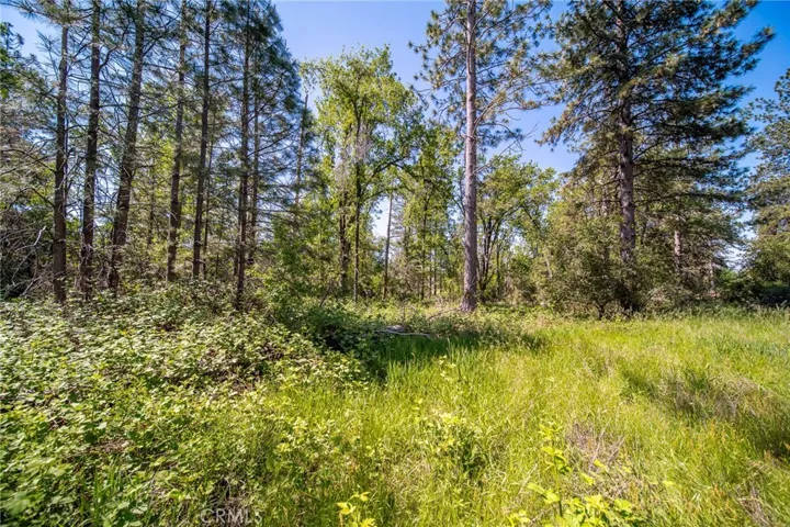 3122 Triangle Park Road, Mariposa, California 95338