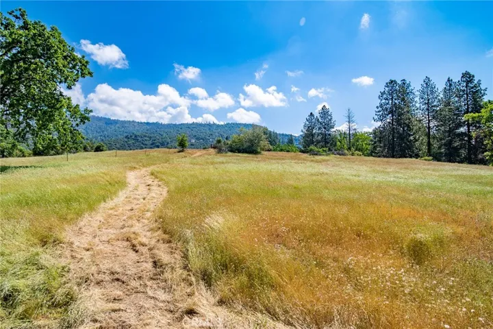 3122 Triangle Park Road, Mariposa, California 95338