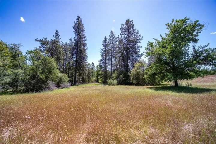 3122 Triangle Park Road, Mariposa, California 95338