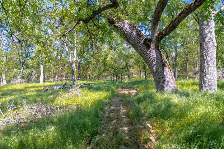 3122 Triangle Park Road, Mariposa, California 95338