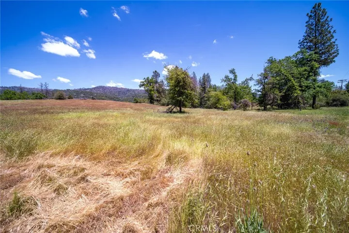 3122 Triangle Park Road, Mariposa, California 95338