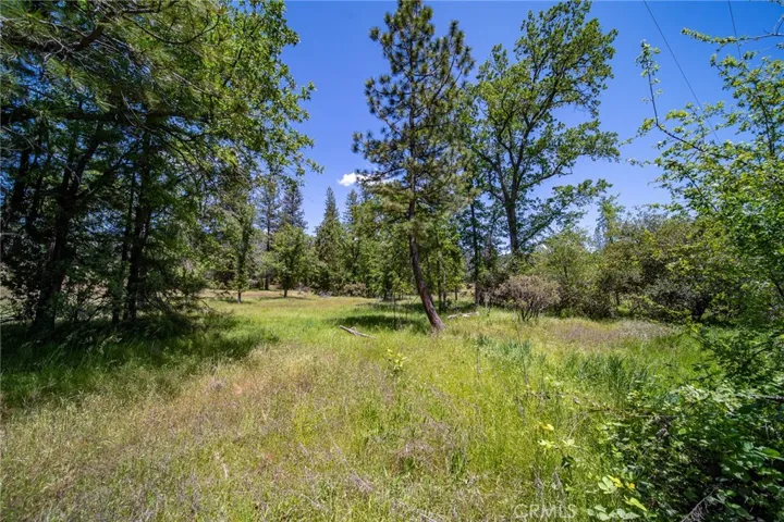 3122 Triangle Park Road, Mariposa, California 95338