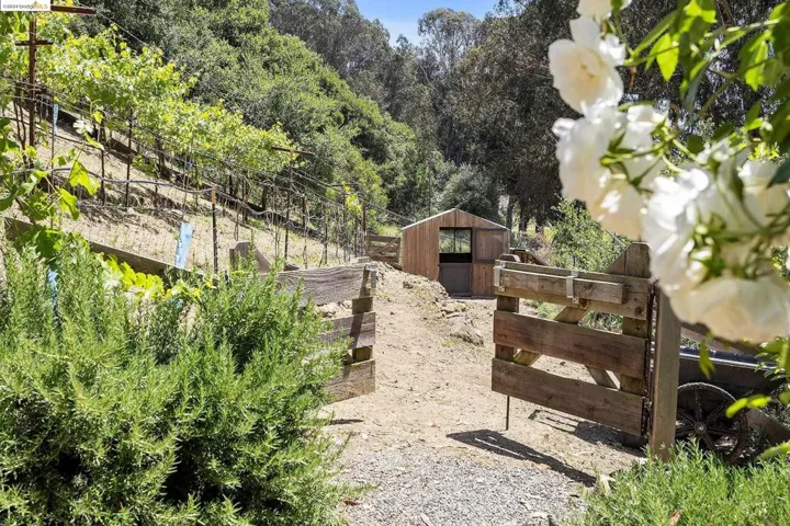 530 Elysian Fields Dr, Oakland, California 94605