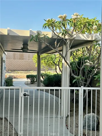 Right side yard