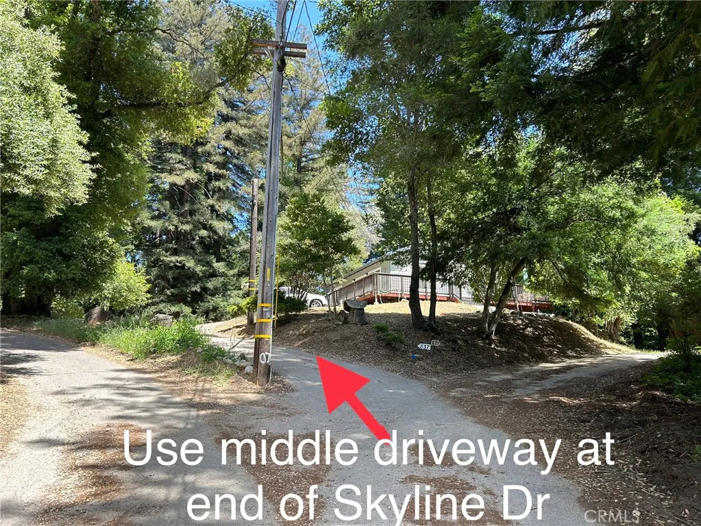 833 Skyline Drive, Felton, California 95018 home-pic-48