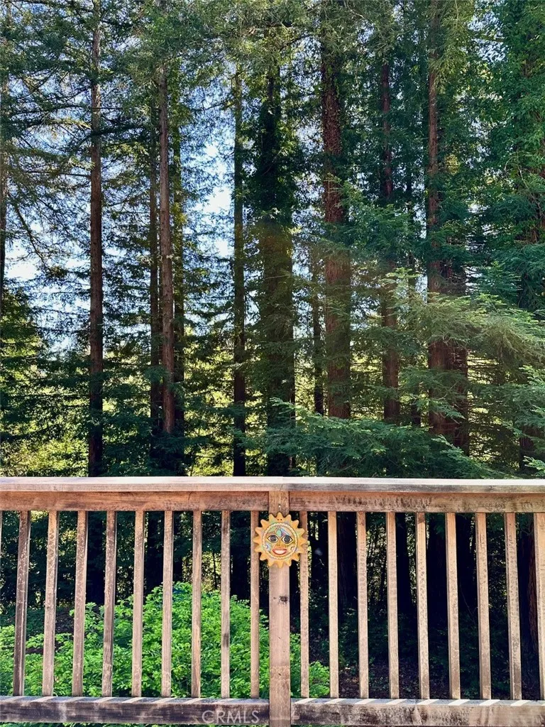 833 Skyline Drive, Felton, California 95018 home-pic-26