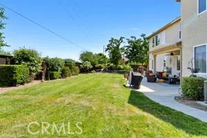 Spacious Back Yard