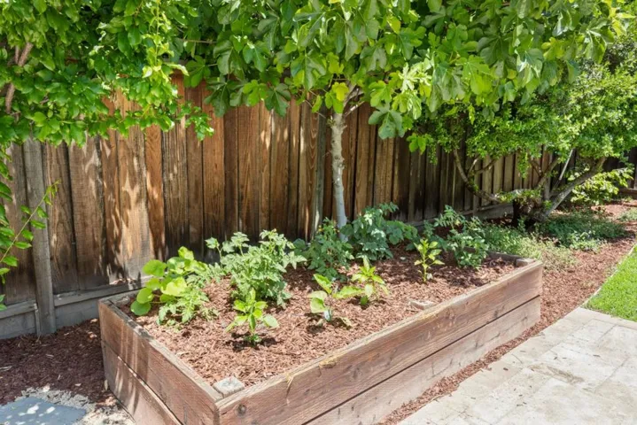 1607 Channing Avenue, Palo Alto, California 94303