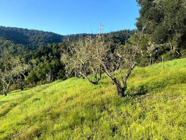 6460 Mount Madonna Road, Gilroy, California 95020