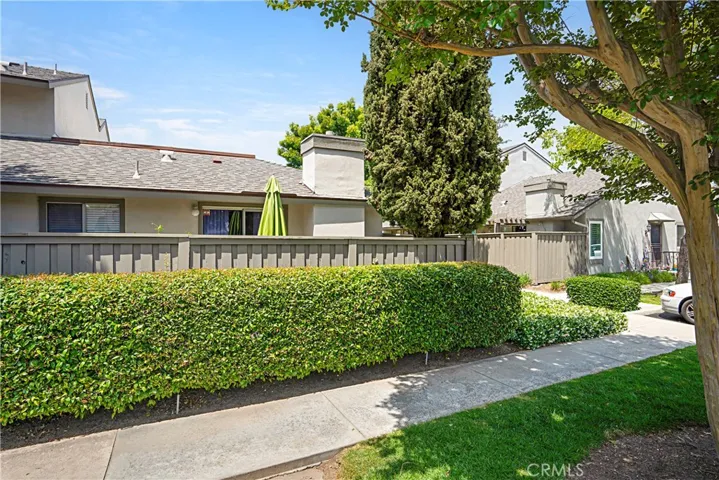 SIDE YARD
