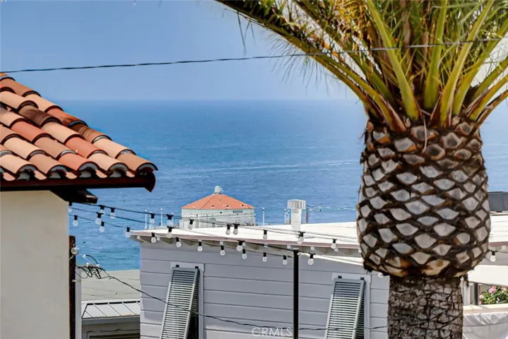 Palms, Manhattan Beach Pier and Blue!