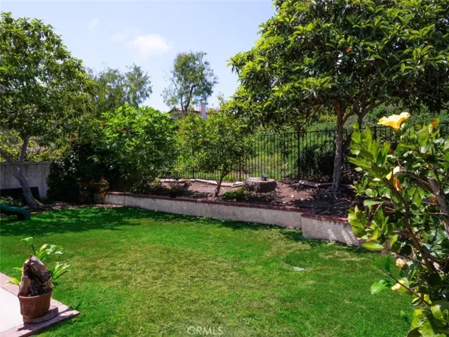 Backyard Grassy Area