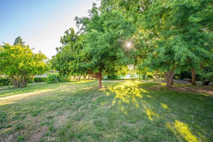 7985 Ricalia Lane, Los Molinos, California 96055