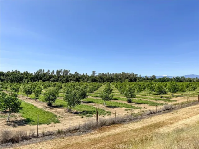 18525 Farquhar Road, Cottonwood, California 96022