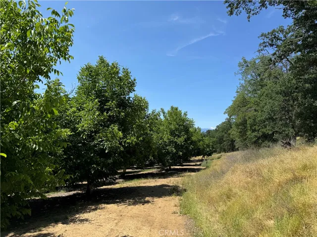 18525 Farquhar Road, Cottonwood, California 96022