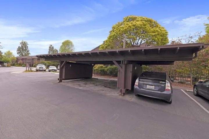 148 Tree Frog Lane, Santa Cruz, California 95060