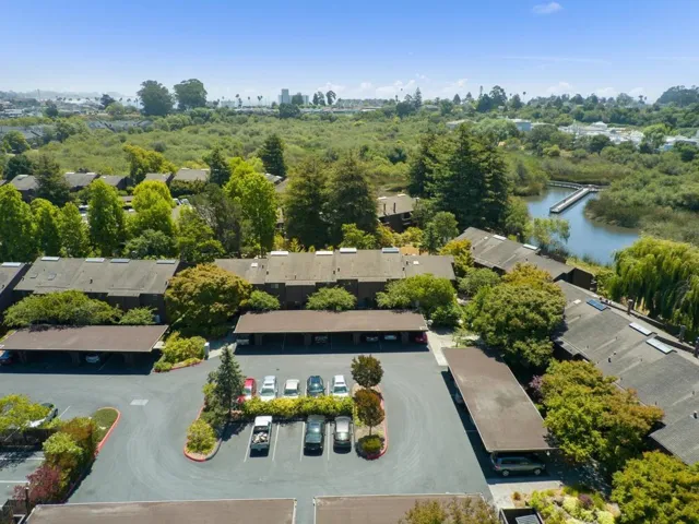 148 Tree Frog Lane, Santa Cruz, California 95060