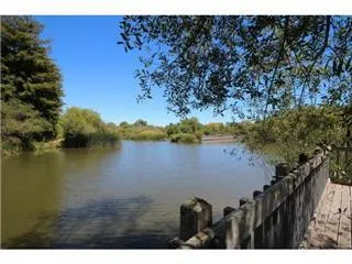 148 Tree Frog Lane, Santa Cruz, California 95060