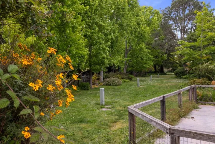 148 Tree Frog Lane, Santa Cruz, California 95060