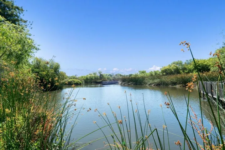 148 Tree Frog Lane, Santa Cruz, California 95060