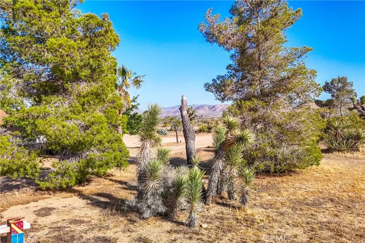 4191 Balsa Avenue, Yucca Valley, California 92284