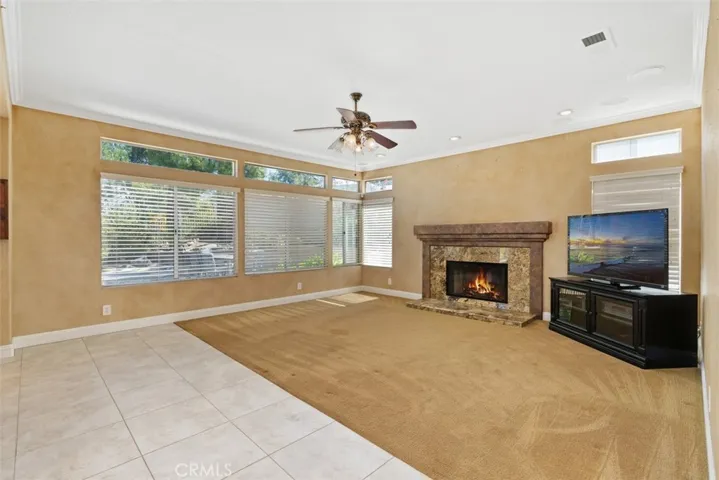 Family Room w/Fire Place