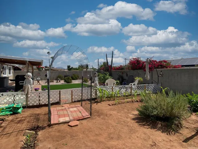 Garden Area with Dwarf Meyer Lemon Tree