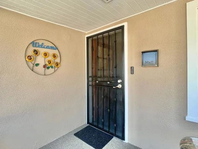 Front Door Security Screen