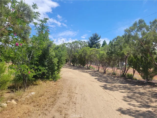 56400 Lubo Trail, Anza, California 92539
