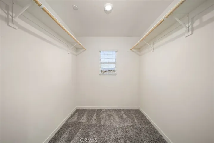 Master Walk in Closet