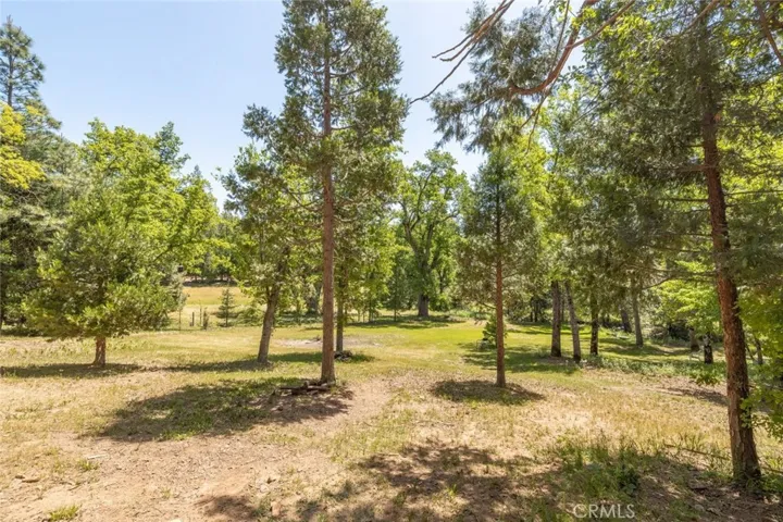 53258 Finegold Creek Court, North Fork, California 93643