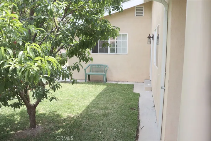 Side Yard 2