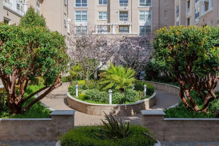 20488 Stevens Creek Boulevard 2204, Cupertino, California 95014