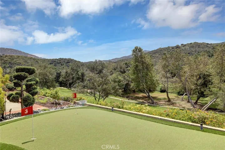 Your own putting green!!