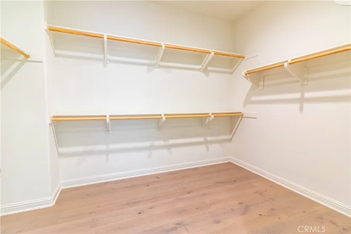 Master Walk in Closet